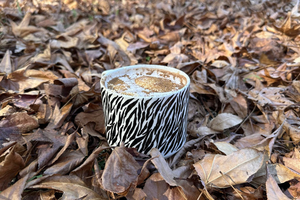 Sip Steeple Earl Grey Hot Chocolate with Mandarin Whipped Cream on a bed of Autumn leaves
