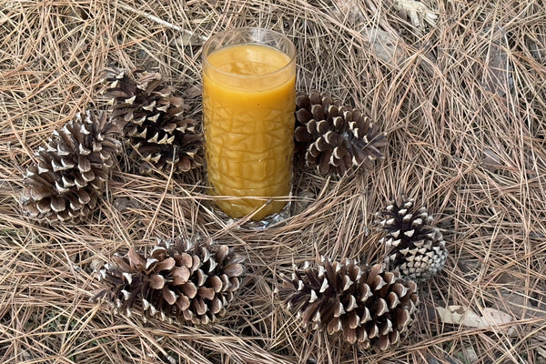 A reflux relief elixer made with carrot, celery and aloe vera juice, with Sip Steeple Reflux Relief tea added, sitting on a bed of pine needles with pine cones.