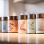 A row of sealed, air tight tea containers, sitting on a brightly lit countertop in a modern kitchen.