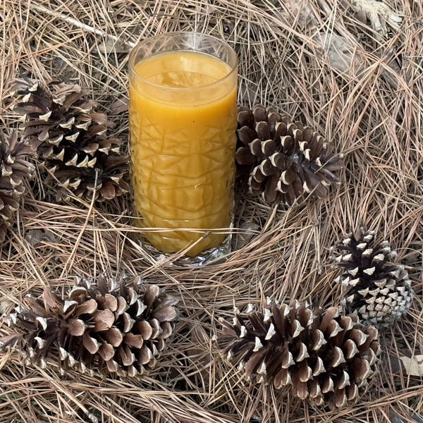 Reflux relief elixir with carrot, celery and aloe vera juice, mixed with Sip Steeple Reflux Relief tea, on a bed of pine needles surrounded by pine cones.